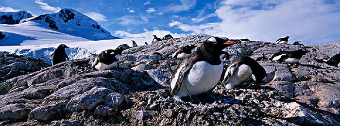 无尽地牢豪华版和普通版有什么区别？无尽地牢Last Wish Edition预购奖励介绍